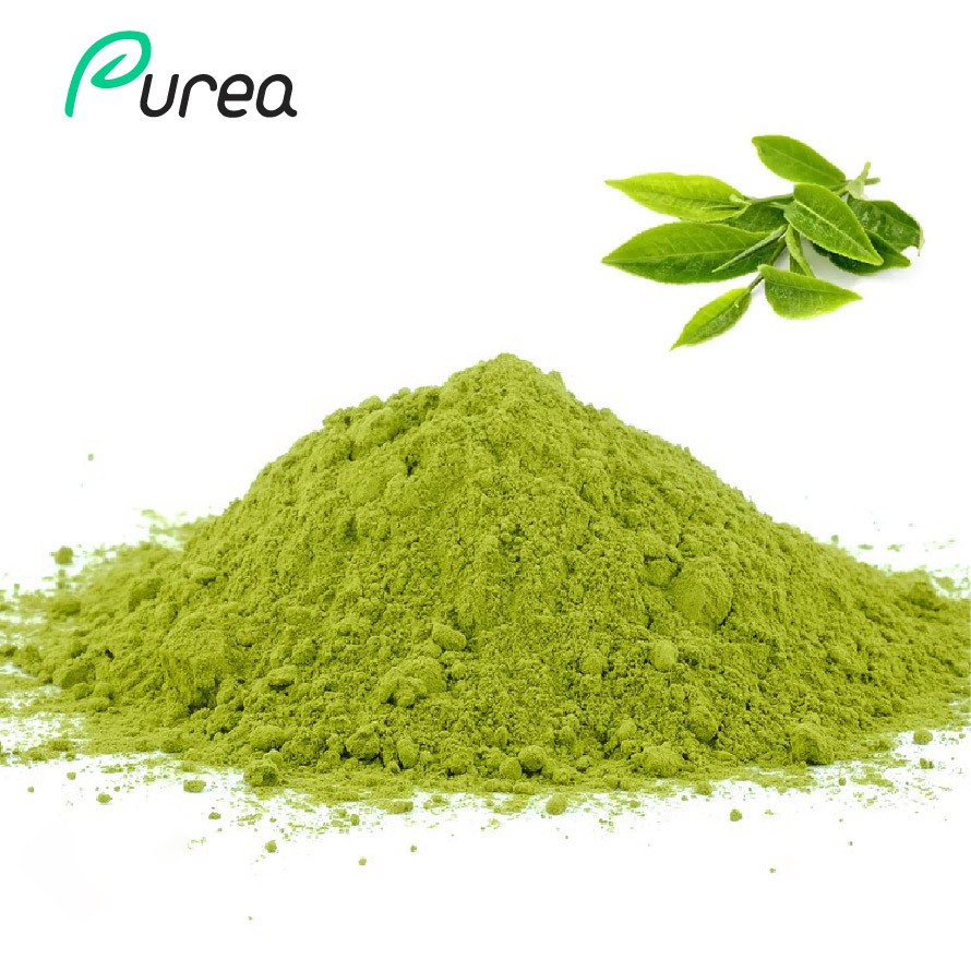 Prašek izvlečka zelenega čaja