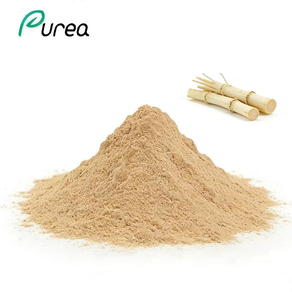 Izvleček korenine imperata Cylindrica v prahu