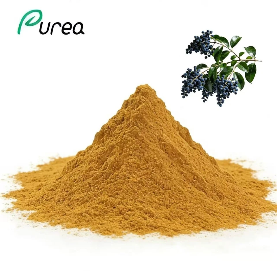 Prašek izvlečka Ligustrum Lucidum