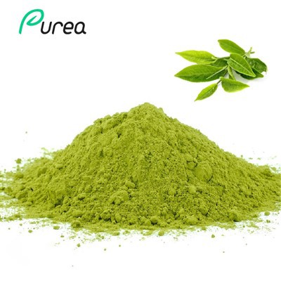Prašek izvlečka zelenega čaja