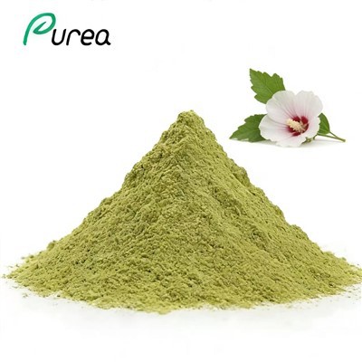 Hibiskusov list v prahu