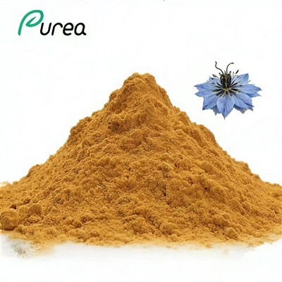 Prašek izvlečka semena Nigella Sativa