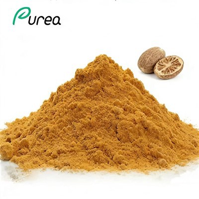 Izvleček muškatnega oreščka v prahu