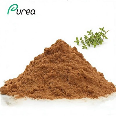 Izvleček listov origana v prahu