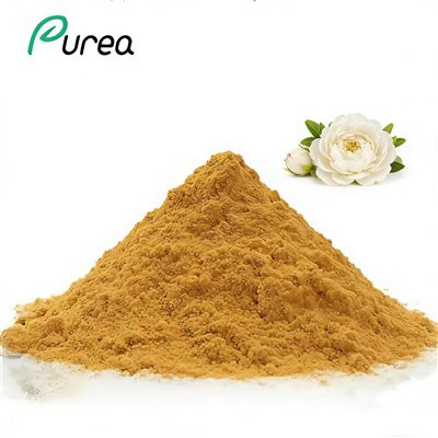 Izvleček Paeonia Lactiflora v prahu