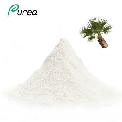 Izvleček olja Saw Palmetto v prahu