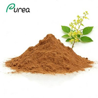 Tripterygium Wilfordii ekstrakt v prahu